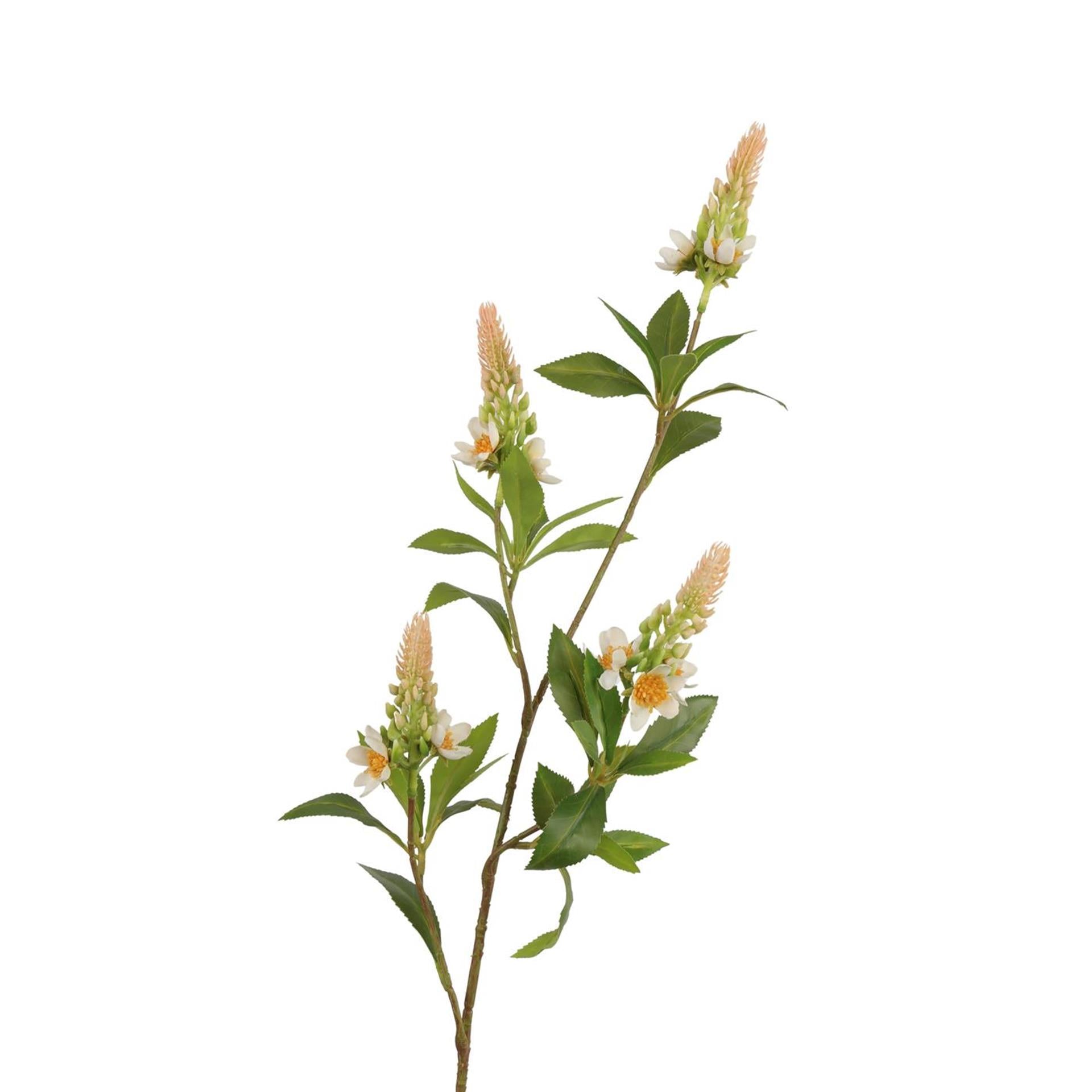 Roberts collection kunsttak pachystachys crème roze 95cm