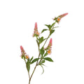 Roberts collection kunsttak pachystachys roze 95cm