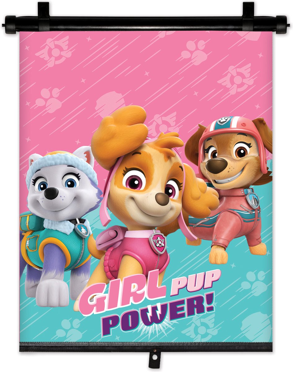 Nickelodeon paw patrol zonnescherm rolgordijn 36x45 cm roze