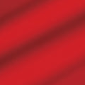 Tonic studios • mirror card satin a4 x5 scarlet organza