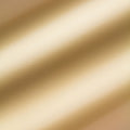 Tonic studios • mirror card satin a4 x5 honey gold