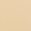 Tonic studios • pearlescent card a4 x5 ivory sheen