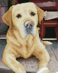 Diamond dotz® diamant painting - labrador - 48x58cm - squares