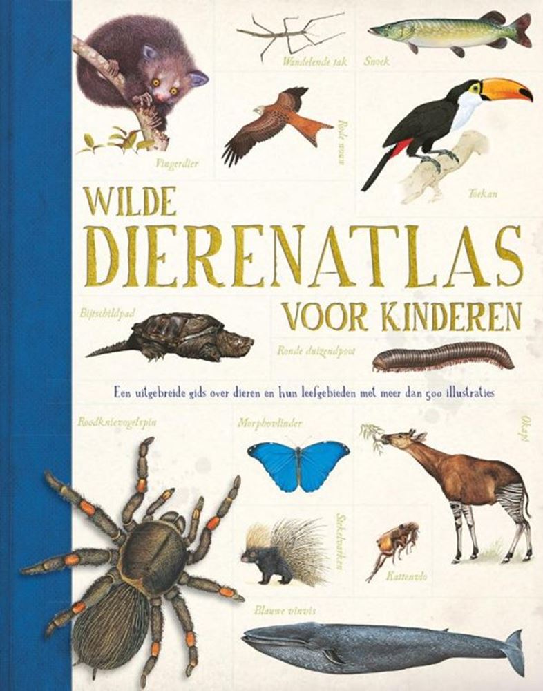 Rebo Publishers Wildtieratlas für Kinder