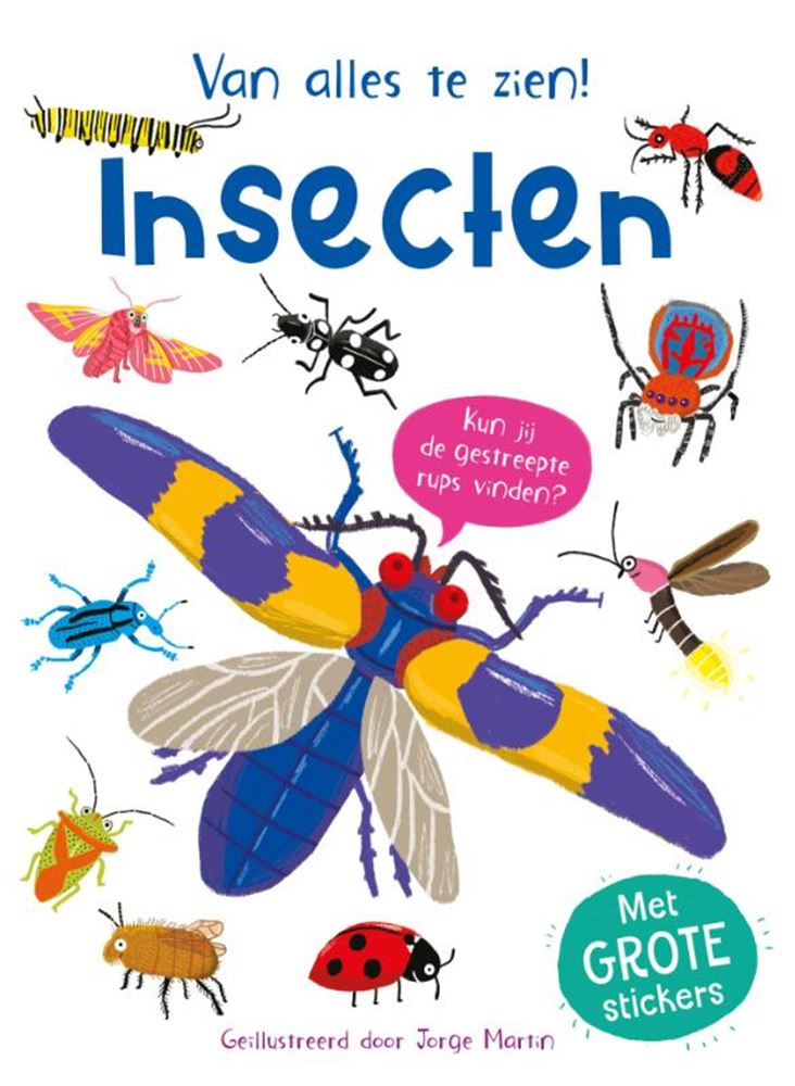 Rebo-Verleger-Insekten – unten zu sehen!