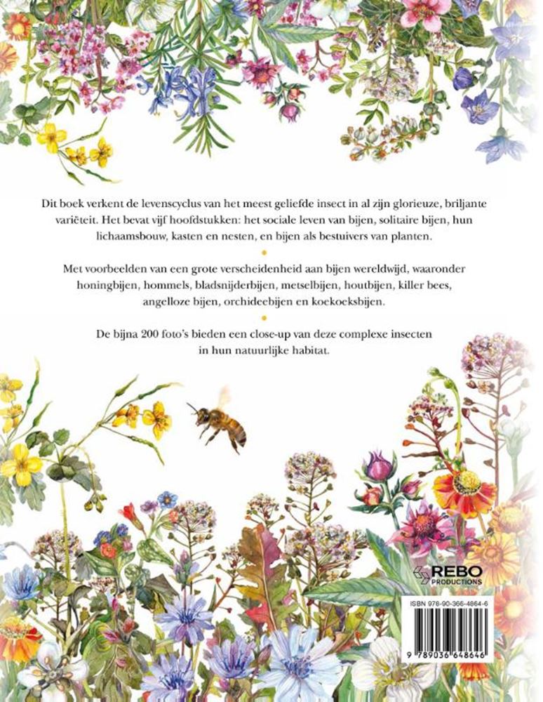 Rebo Publishers Bienenbuch mit 5 Kapiteln