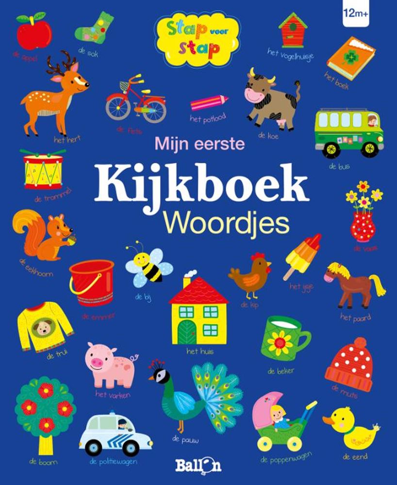 Mijn eerste kijkboek woordjes 1+