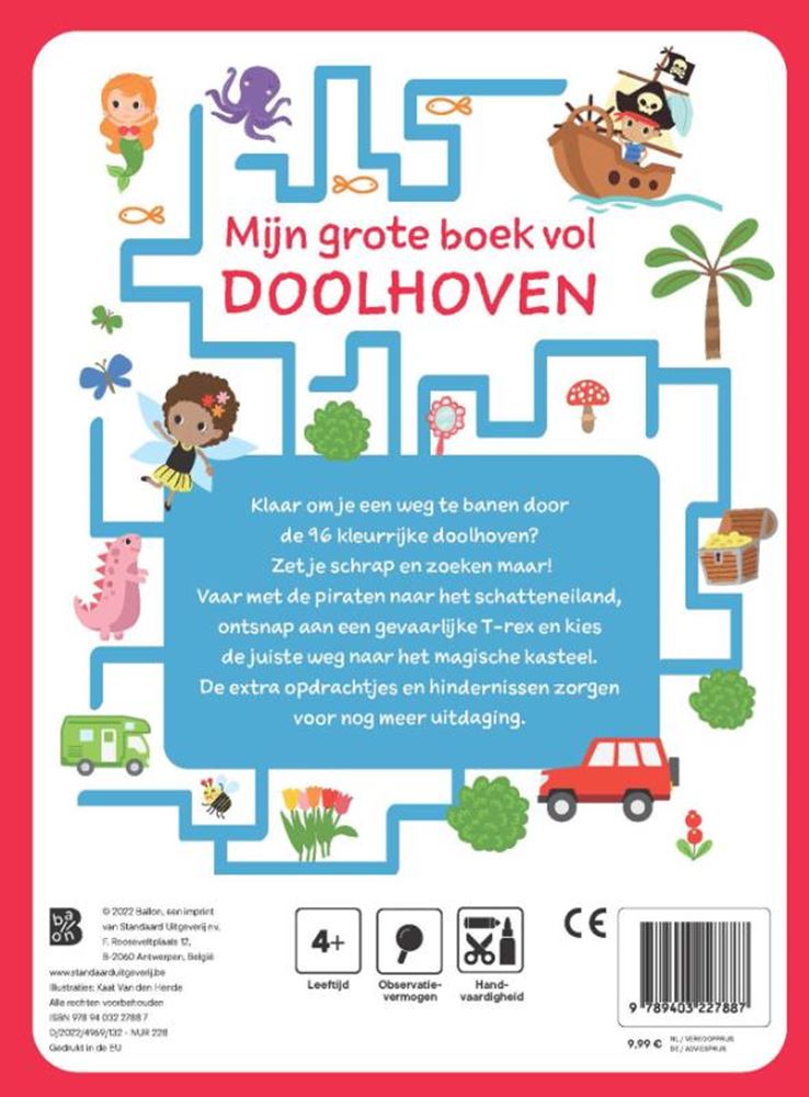 Standaard uitgeverij mijn grote boek vol doolhoven. 6+