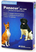 Panacur Hund Katze