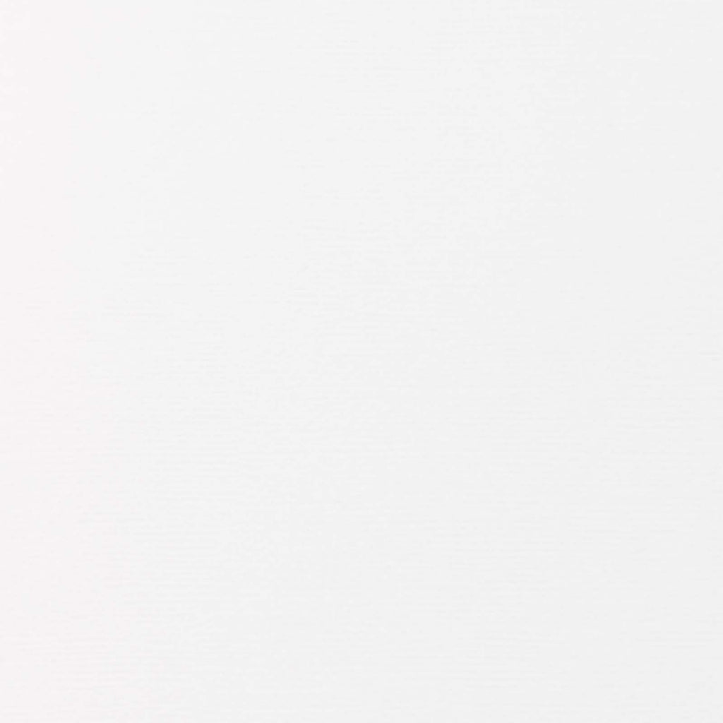 Tonic studios • vellum paper vintage white