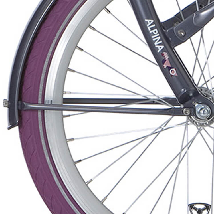 Alpina Fortboard Rutenset 22 Clubb Lila Grau