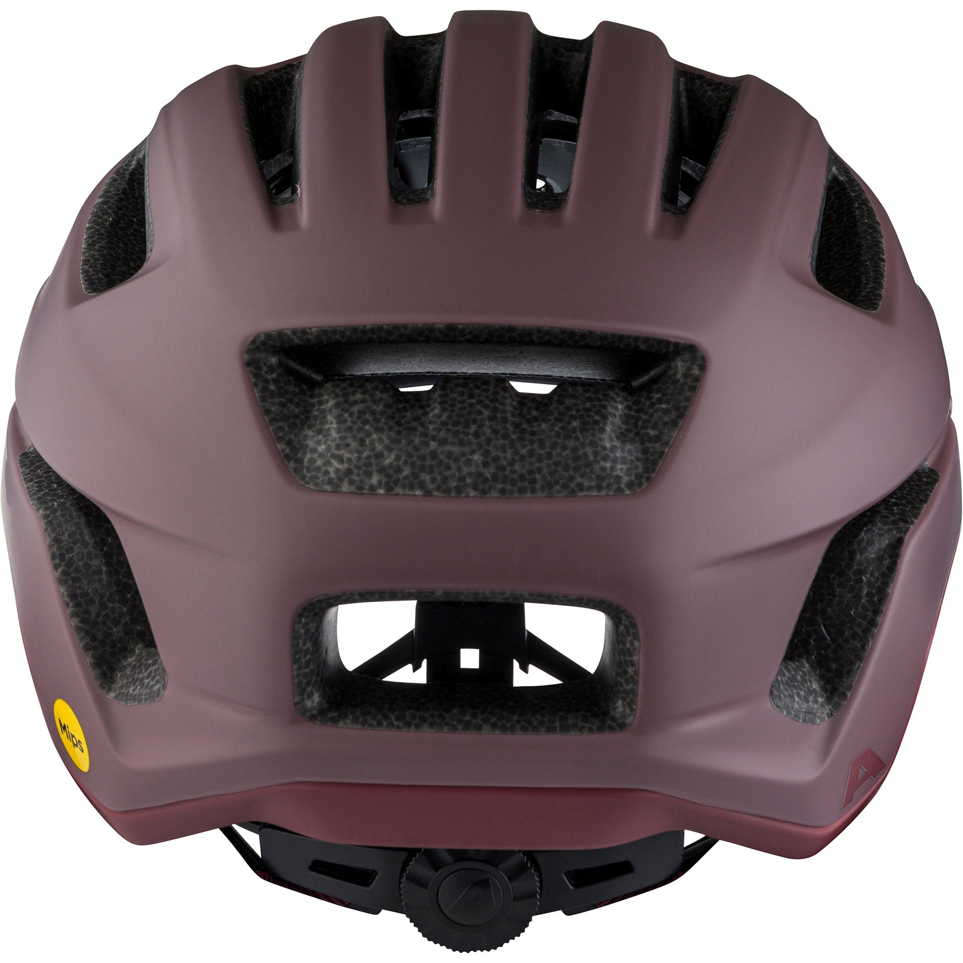 Alpina sports tour helm paranus mips 52-56 mat bruin