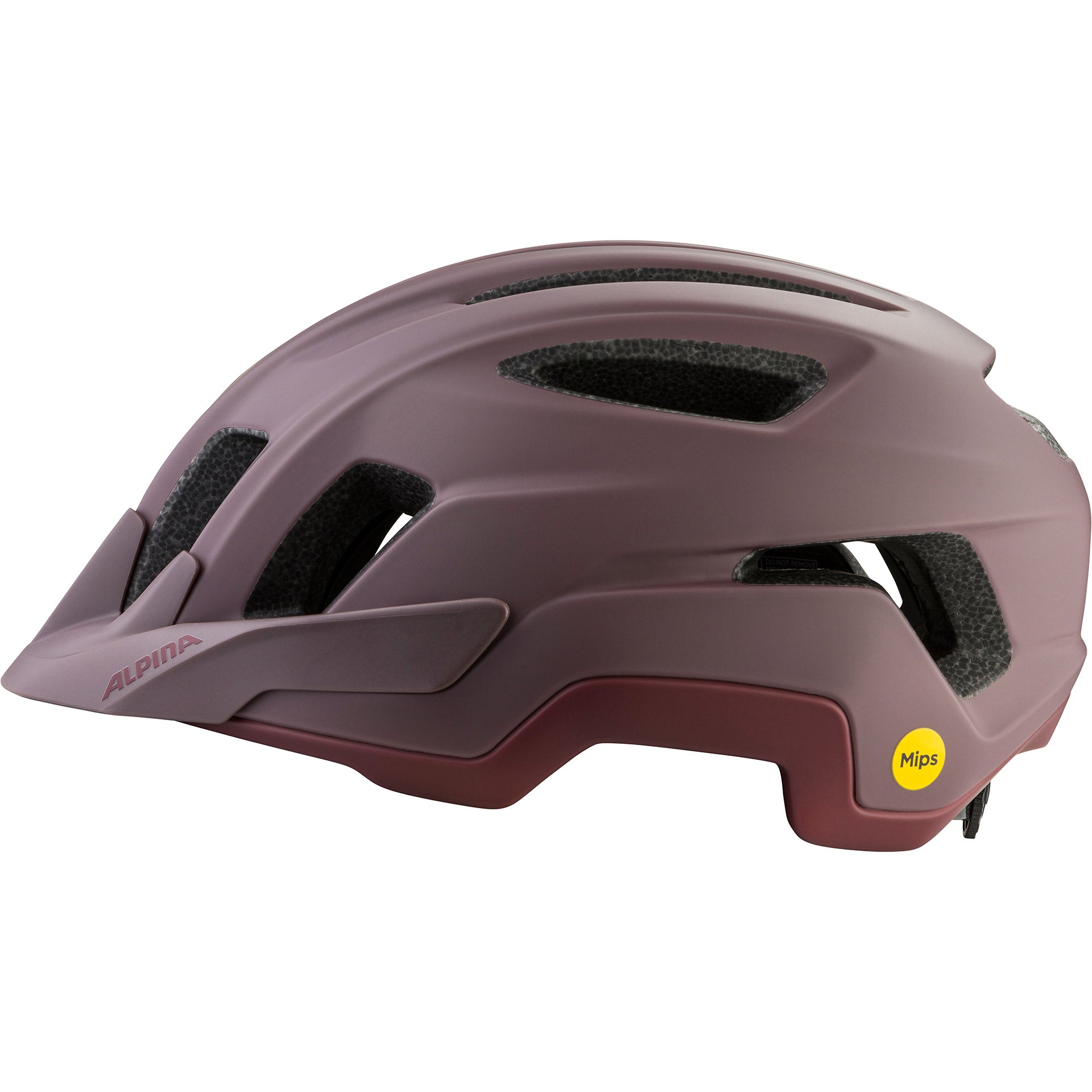 Alpina Sports Touringhelm Paranus MIPS 55-59, mattbraun