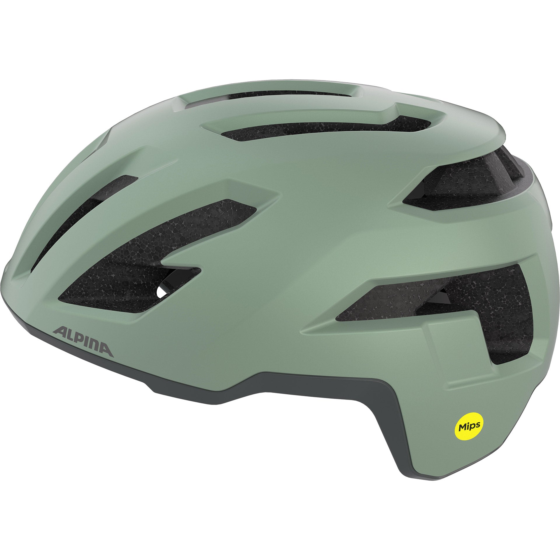 Alpina Sports Tourenhelm Taunus Gravel MIPS 55-59 mattgrün