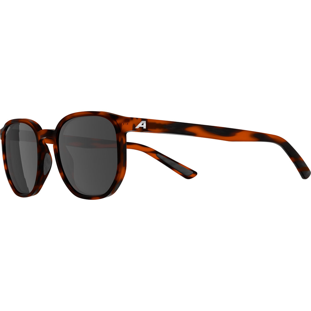 Olympic sportswear alpina sports lifestyle bril dimont zwarte lens havana