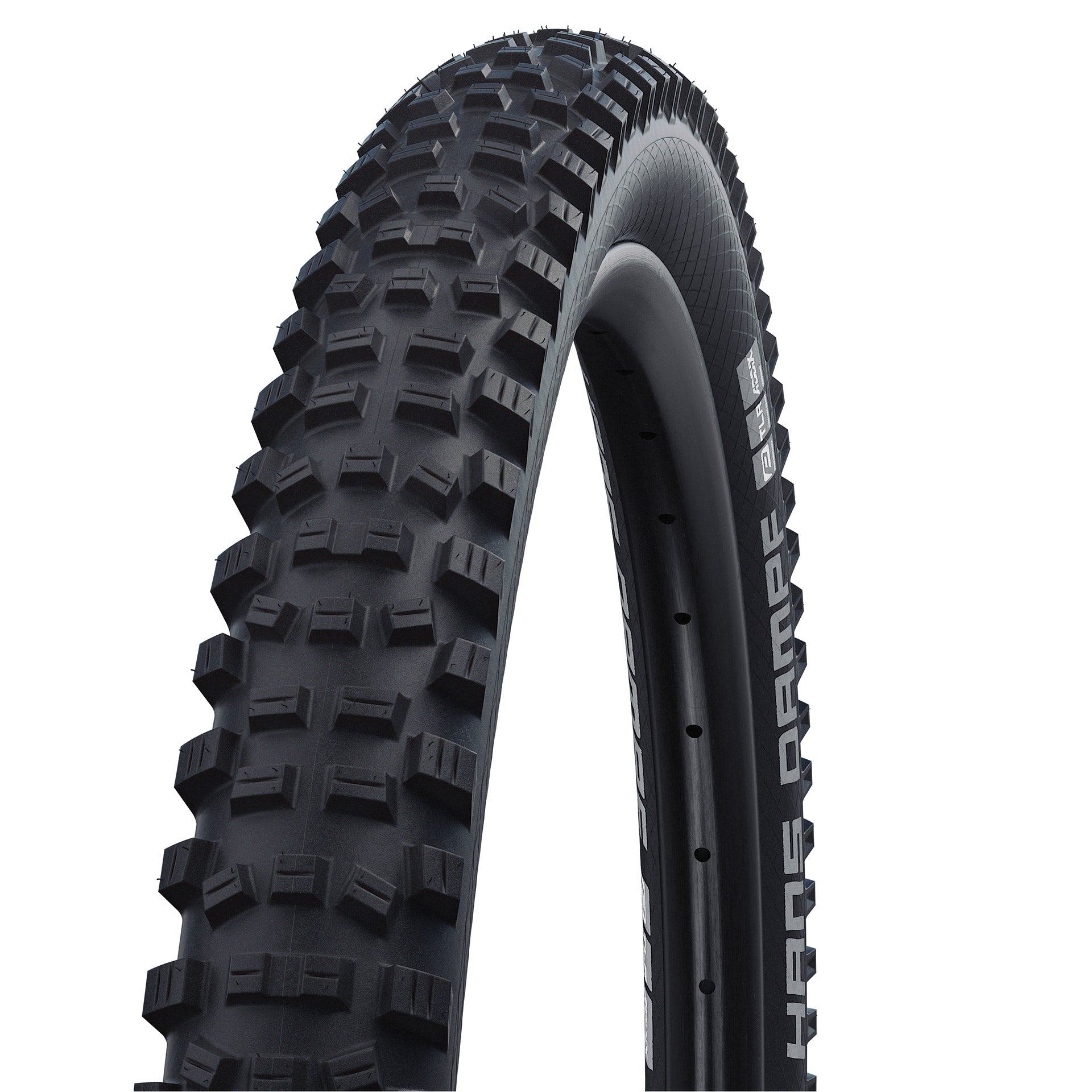 Schwalbe Faltreifen Hans Dampf Performance 60-507 TLR schwarz