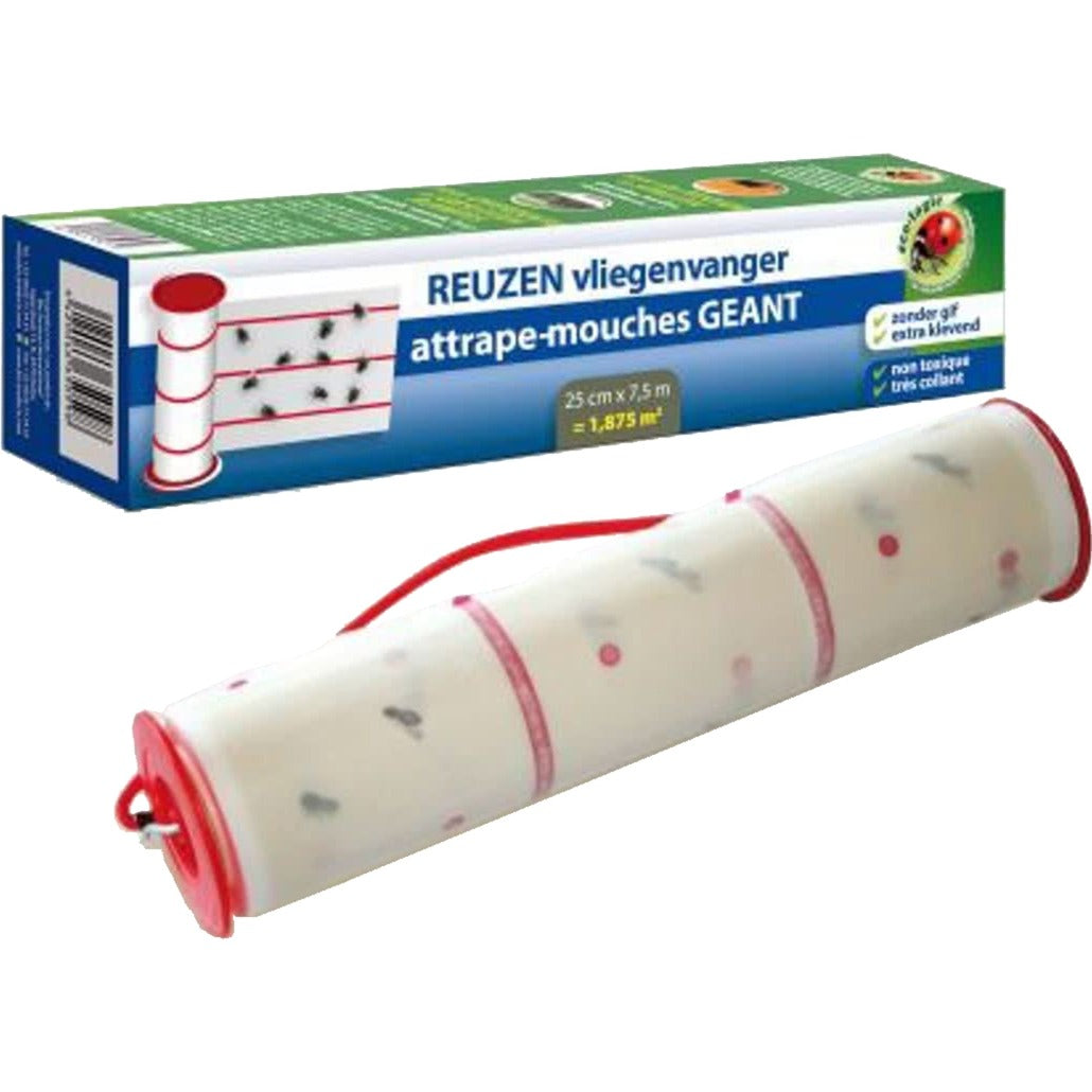 BSI Riesen-Flugbegleiterin