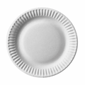 Papstar borden rond karton wit 15cm (100 stuks)