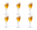 Brugse zot glas (6x 33cl)