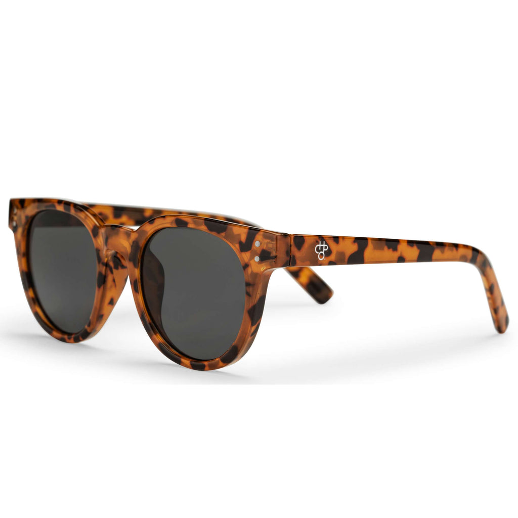 Chpo bril côte des basques x leopard black