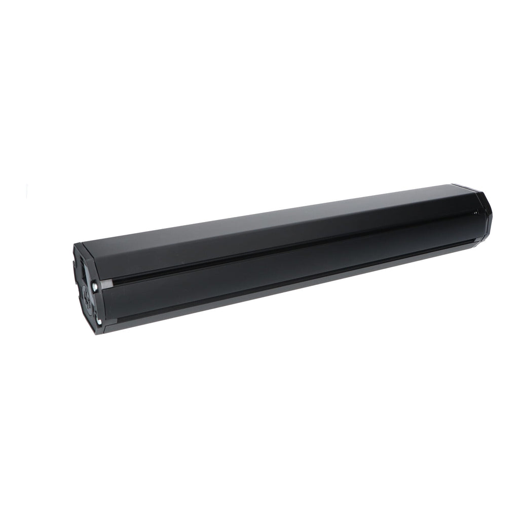 Bosch powertube 630wh horizontaal e-bike vision (bes2)