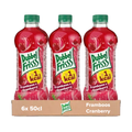 Dubbelfrisss framboos cranberry pet (6x50cl)