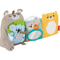 Fisher-Price Activiteitenboek Zitten en Knuffelen