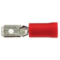 kabelschoen plat, mannetje, 4.8mm, per 25