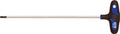 Cycplus cyclus torx t-greep tx25 lang 300mm