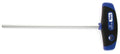 Cycplus T-Griff-Inbusschlüssel 5 mm 350 mm langer Zyklus 720538