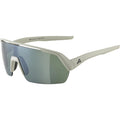 Alpina Sports Turbo-HR Q-Lite Sportbrille grau
