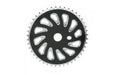 Kettenblatt BMX 44T einteilig Stahl schwarz