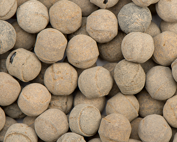 Kindly's salmiak hagel (3,5kg)