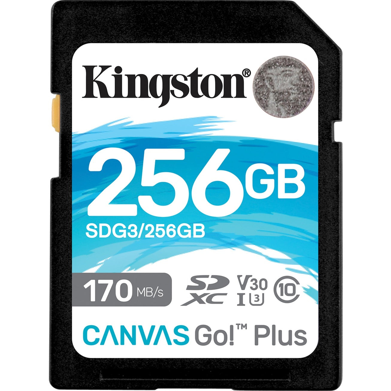 Kingston Canvas Go! Plus SDXC 256 GB