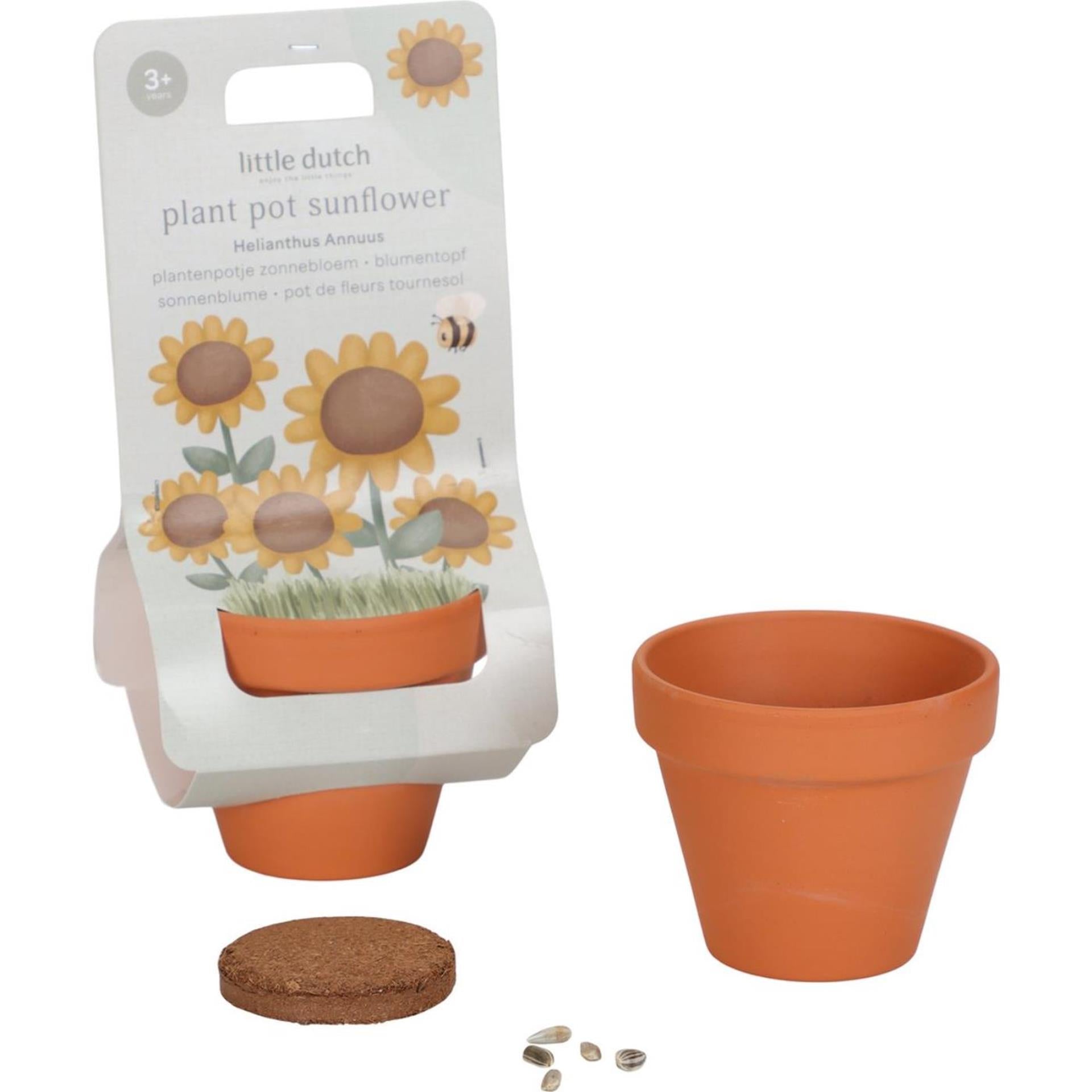 Little dutch plantenpotje zonnebloem