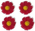 Basil flower 4 magrietjes rood 50188