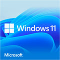 Microsoft Windows 11 Home (Englisch) System Builder