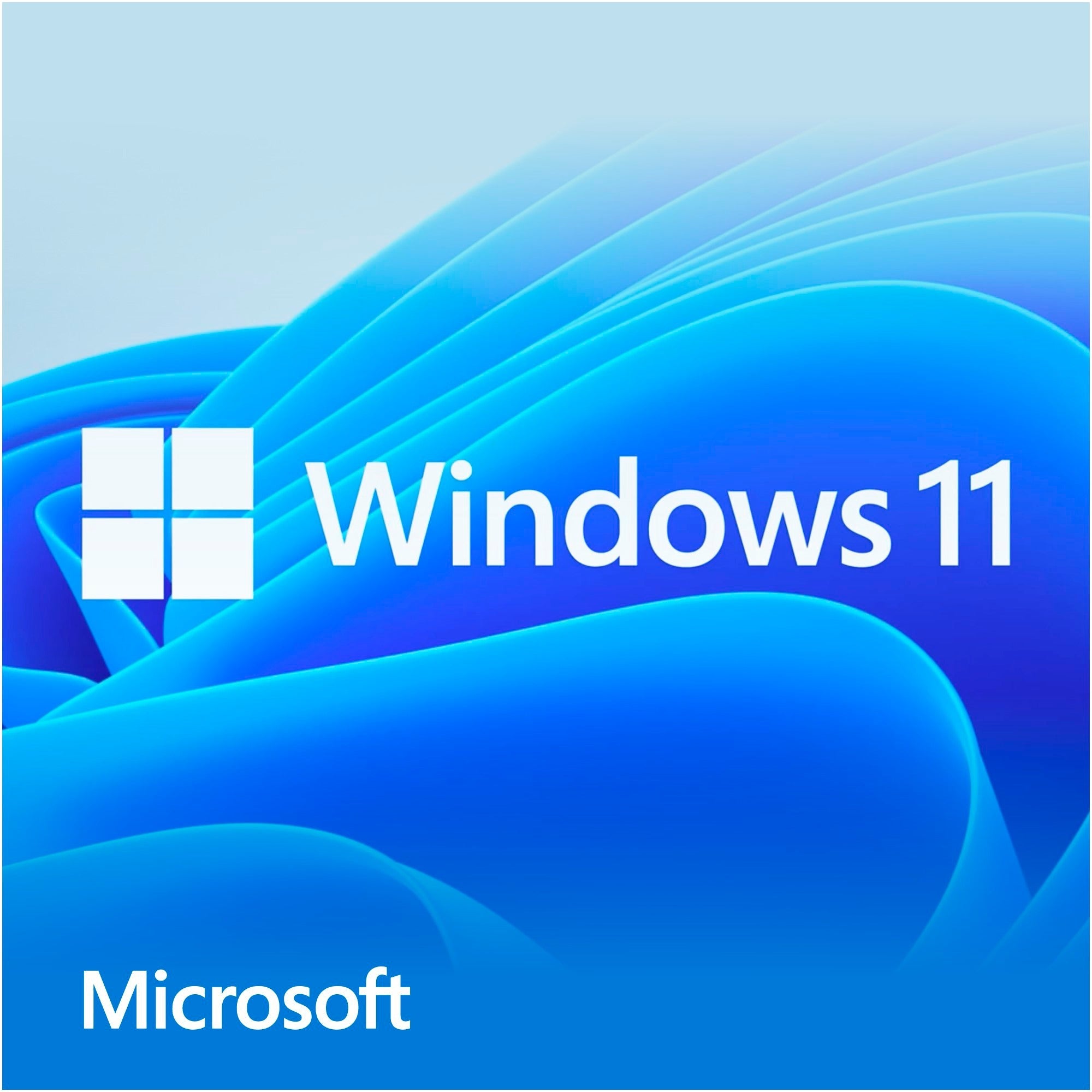 Microsoft Windows 11 Home (Englisch) System Builder