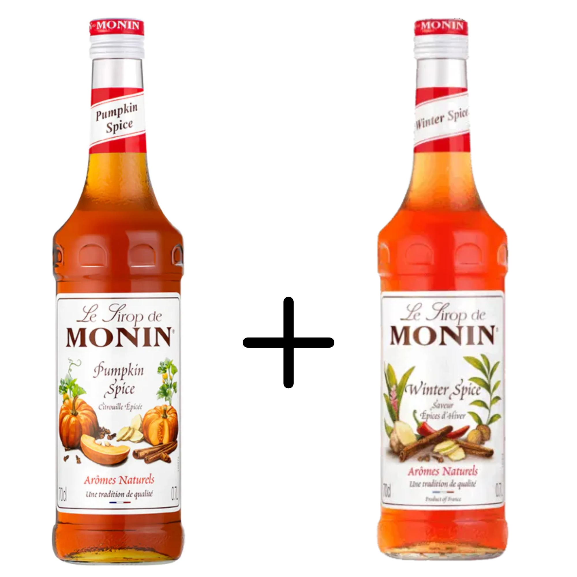 Monin pumpkin spice + winter spice