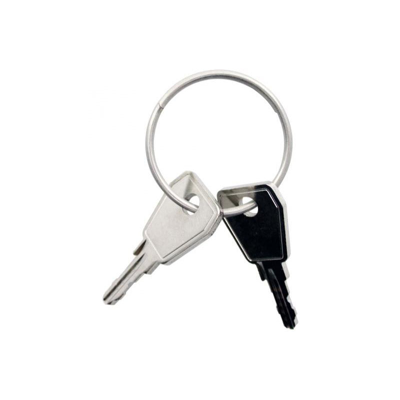 Thule Yepp sleutel Nexxt P5 2 stuks