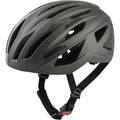 Alpina sports race helm path 55-59 mat grijs