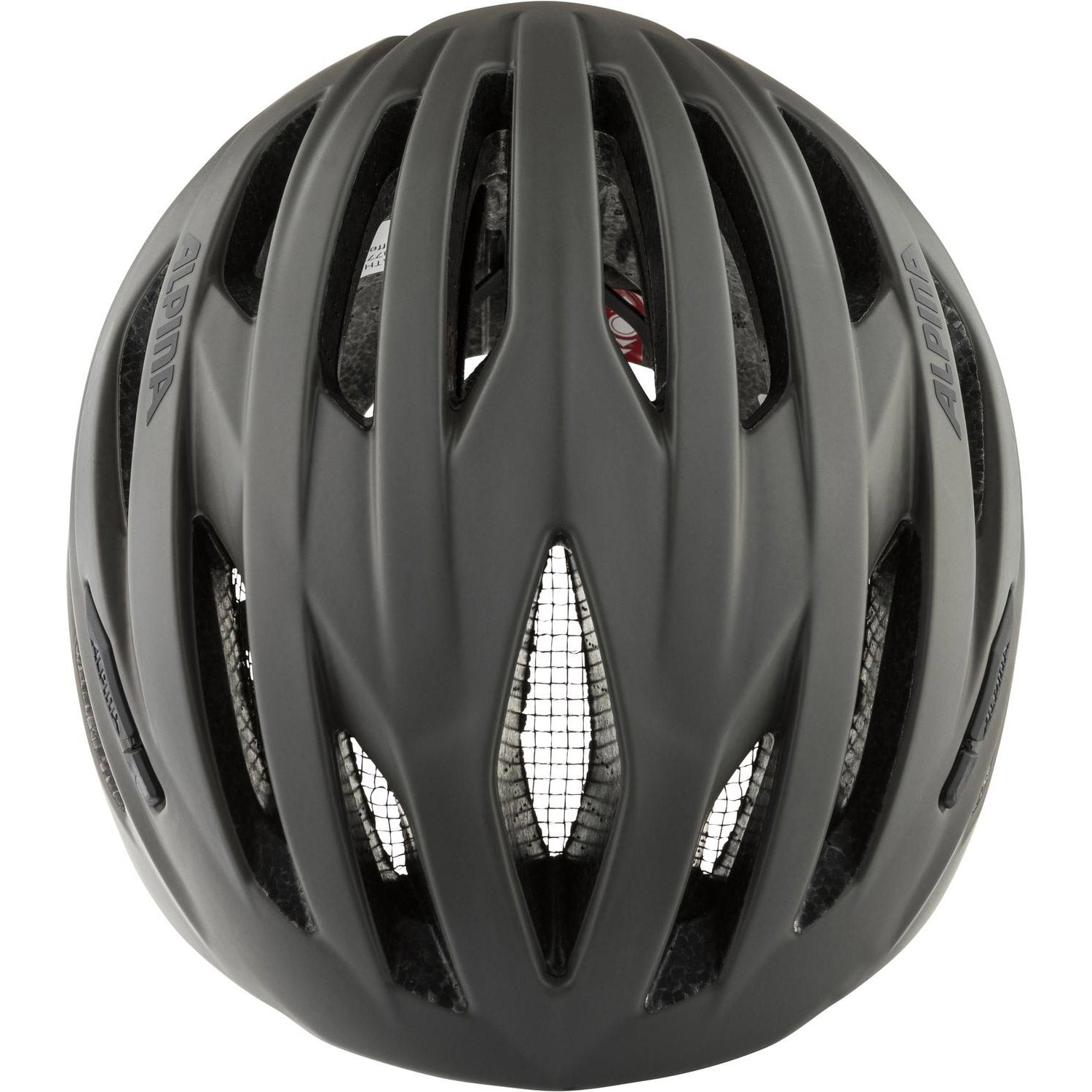 Alpina sports race helm path 55-59 mat grijs