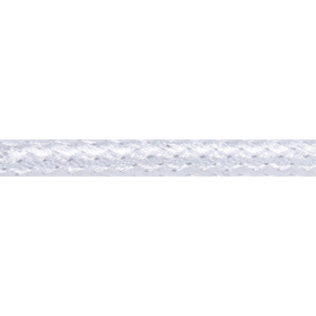 Elvedes rem buitenk 5mm zilver (10m) gevlochten 182038-10