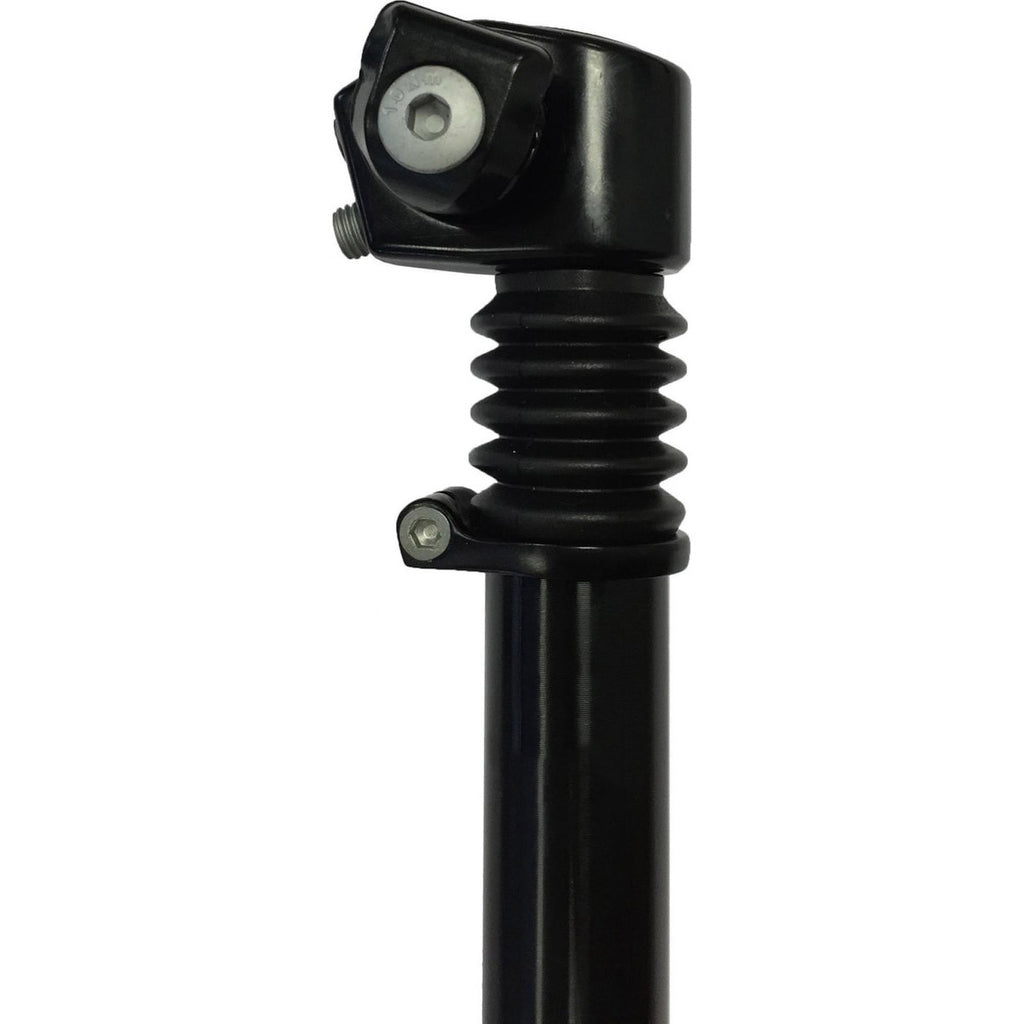 geveerde zadelpen ATB , 2 bouts bevestiging. 27.2 zwart 300mm