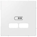 Merten centraalplaat usb 2-v polar wit