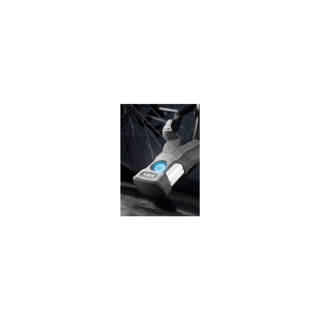 Abus Kettenschloss Yardo 7807f