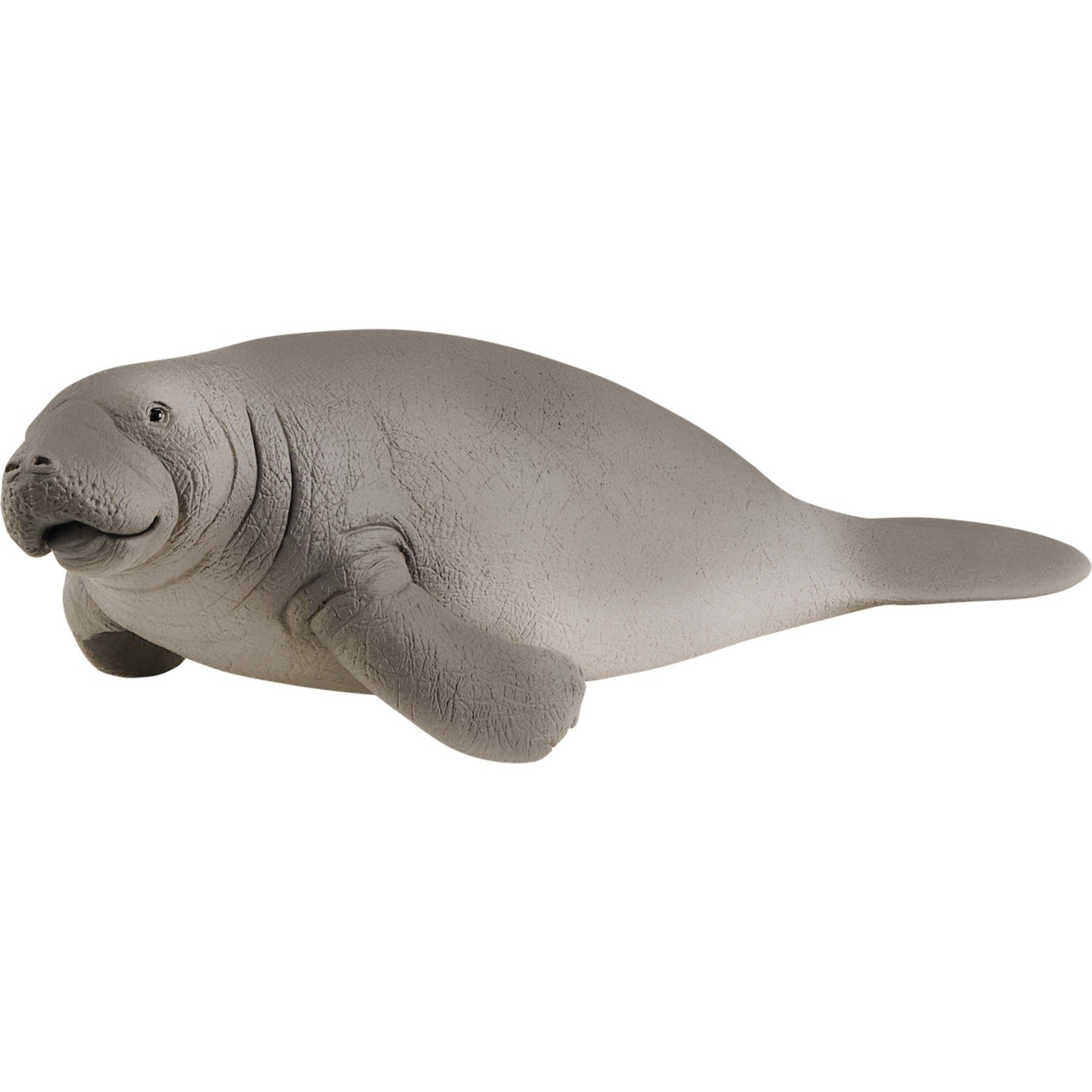 Schleich Wildtier Manati