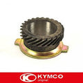 Kymco km-teller worm djy