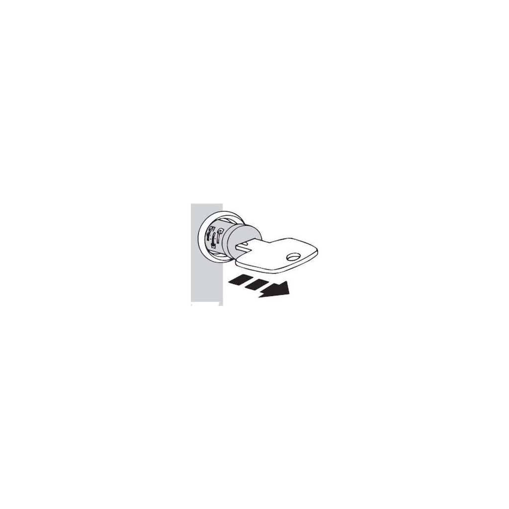 Thule wisselsleutel masterkey