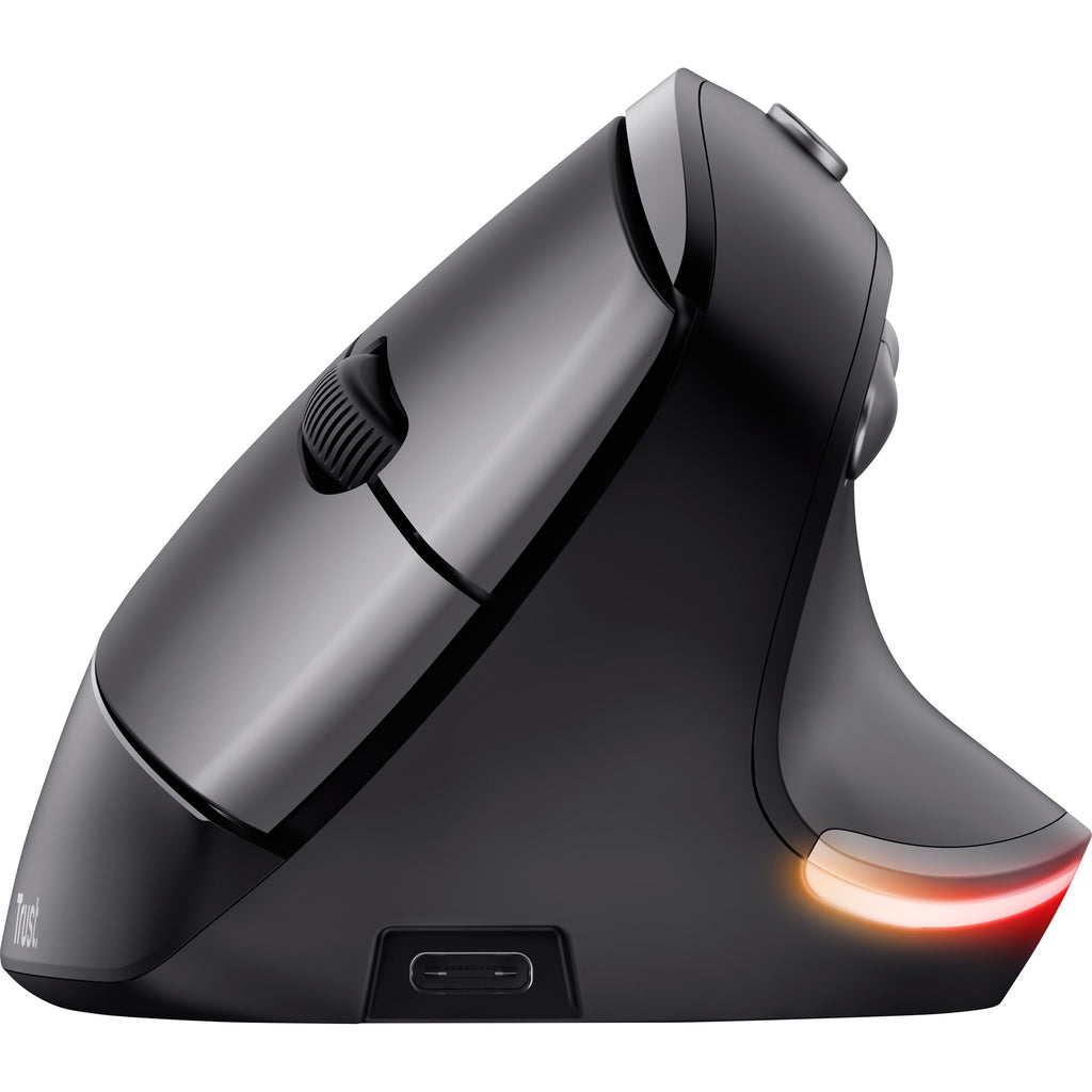 Pflegen Sie die kabellose, flexible und ergonomische Bayo-Maus